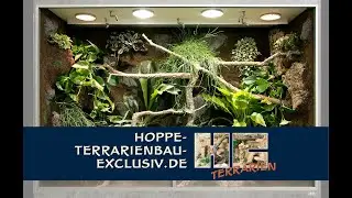 Regenwaldterrarium f&uuml;r einen gr&uuml;nen Baumpython