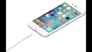 Apple Lightning to USB Cable Review 🔌 1 Meter
