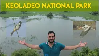 घना पक्षी विहार | Keoladeo National Park Bharatpur vlog| UNESCO WORLD HERITAGE | @travloggersanjay