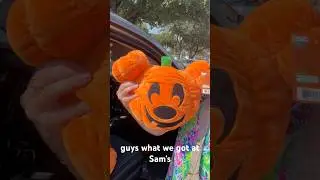 Disney Halloween Pumpkin Head Plushes are at Sam&rsquo;s now! #mickey #minnie #disneymom