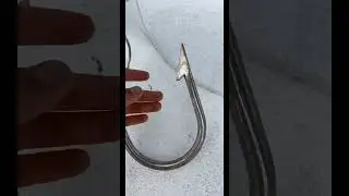 Biggest hook ever??