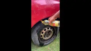 Just put cooking oil on your car tire and be amazed!