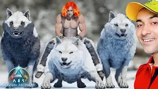 TAMING THE DIREWOLF PACK LEADER WAS MY MISTAKE 😨- ARK SURVIVAL ASCENDED