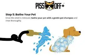 How to use Piss Off+ to get RID of SKUNK Odor