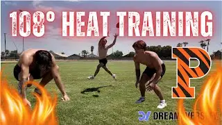 What It REALLY Takes to Be a D1 DB (Desert Edition)