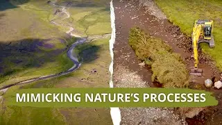 Mimicking nature's processes in a degraded Scottish river: will it help wild salmon?