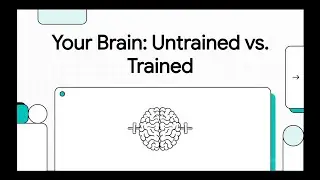 Your Brain  Untrained vs Trained