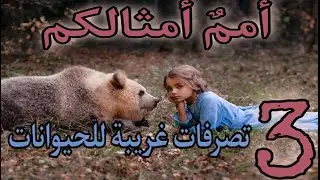 (أمم أمثالكم) تصرفات غريبة للحيوانات, أثبتت أنهم أمم ومجتمعات معقدة! مثل البشر