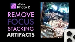 GET RID OF FOCUS STACKING DISFIGUREMENT CAUSED BY MOVING ELEMENTS W/ AFFINITY PHOTO AND LAYER MASKS