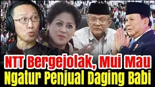 MENGEJUTKAN KEMRAHAN WARGA NTT KRISTEN MAU NGATUR SOAL PENJUAL DAGING BABI | MUI ENDE NTT
