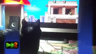 TNU4 почти 10 лет назад