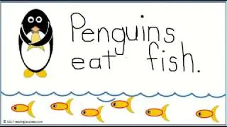 Penguin Research and Video Project