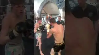 🤯😱HEAD KICK #muaythai #headshot #knockout #HeadKick #thaiboxinglife #boxing #martialarts #ufc