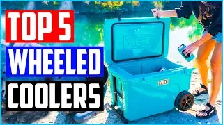 Top 5 Best Wheeled Coolers in 2021 Reviews  Buyer&rsquo;s Guide