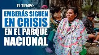 Persiste crisis de comunidad ember&aacute; en el Parque Nacional |&nbsp;El Tiempo