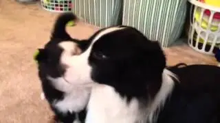 Georgia plays with her little half sister at 5 weeks old