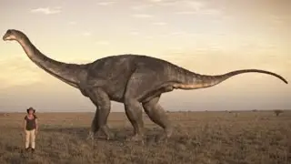 Dinosaur in the Outback [2016] - Wintonotitan Wattsi Screen Time