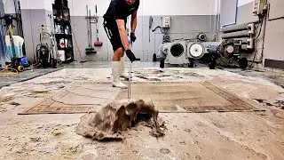Carpet laundry veterans transform muddy carpet into piece of treasure | Speeded Up