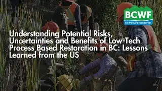 Understanding Potential Risks, Uncertainties and Benefits of Low Tech Process Based Restoration
