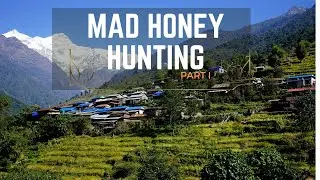 HONEY HUNTING- GURUNG Village Nepal | Part 1 |