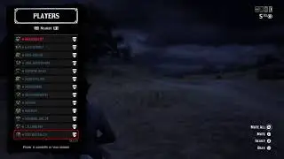 Red Dead Redemption 2. The phantoms vs The Reaper Lords