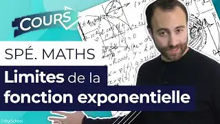 Limites de la fonction exponentielle - Sp&eacute; Maths