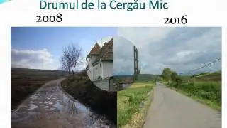 Lenuta Aldea - Cergau