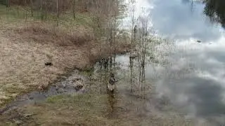 AEP RECREATION FISHING PT 2