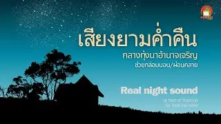 เสียงยามค่ำคืน กลางทุ่งนาอำนาจเจริญ