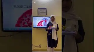 Blood Cells Models presentation