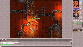Tibia - Pk Danera