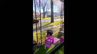 BEAUTIFUL/SATISFYING ICE MELTING OF TREES!!!!!