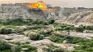 🇸🇦 Jabriyah Heritage Market 🛖  | Jabriyah Agricultural Farm🌳🌴 | Historical Village AL NAKHL YANBU