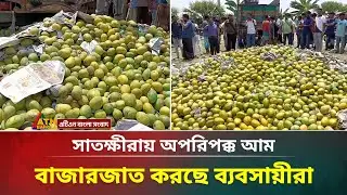 ছাত্রদের সহায়তায় অপরিপক্ক আম  জব্দ করলো প্রশাসন | Satkhira | Mango | ATN Bangla News