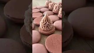 Macarons ✨ Nozzle:closed star