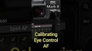 Eye Control AF Calibration on the EOS R5 Mark 2
