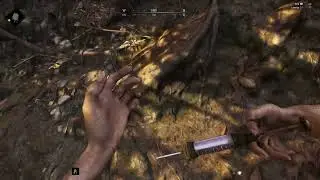 Dumdum Ammo Coming in Clutch in Hunt Showdown!