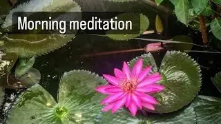Nature sounds and some from my neighbours  #handmade #crochet #meditation #chill #nature #goodvibes