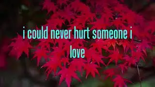 Vulnerable by Roxette lyrics