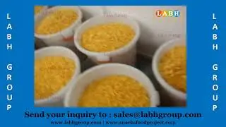 World Best Cheetos Crunchy Corn Curls Production Machines Factory