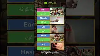 Body Parts P2 د بدن برخې