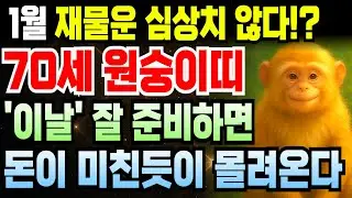 병신년생 2026년 1월 원숭이띠 1956년생 70세 운세 횡재 쏟아진다! 천금 쌓이고 돈줄 완전 열리는 한 달, 원숭이띠 부자 확정 신호 터지는 흐름 지금부터 시작됩니다.