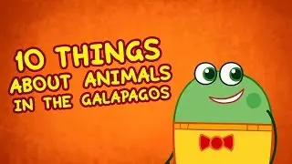 10 things about the Galapagos | Facts for Kids | Hogie the Globehopper | Geography Cartoons for Kids