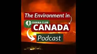 Thank Oil & Gas CEOs for Tariffs, We Need an Emissions Cap Now