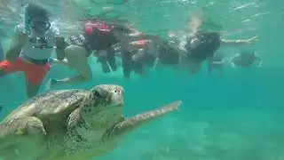 Wideo snoorking