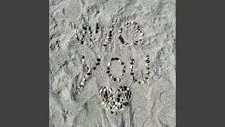 Without You
