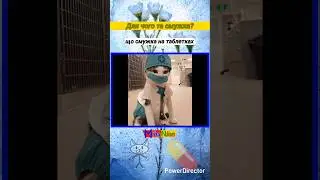Для чого та смужка?