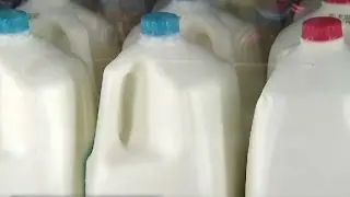 Milk could soon cost more than gasoline
