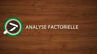 #13 Analyse Factorielle dans Excel avec XLSTAT
