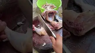 Day461 #chickencutting #butchery #meatprocessing #asmrfood #satisfying  #chicken #shorts #shortvideo